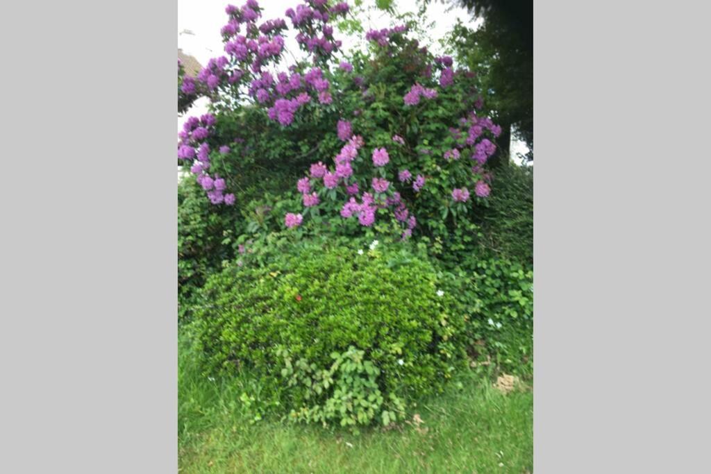 Lovely 3 Bed House Close To Carlyon Bay Beach! 外观 照片