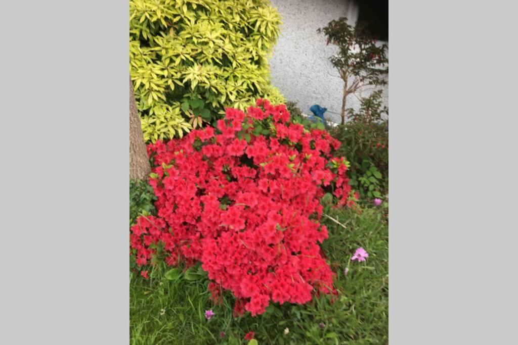 Lovely 3 Bed House Close To Carlyon Bay Beach! 外观 照片
